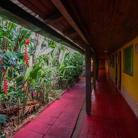 Hosteria Los Helechos Porto Iguaçu Exterior foto